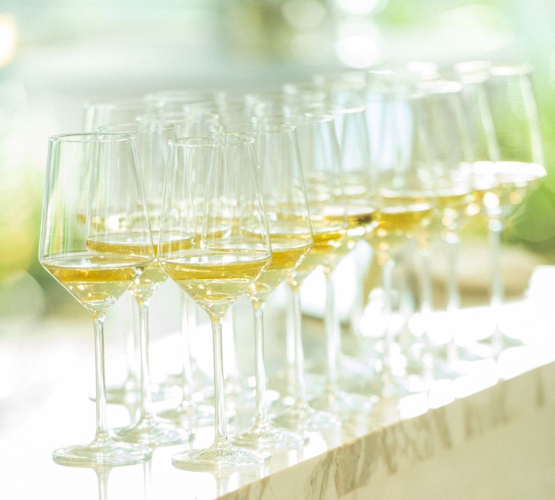 Host With Us | Museo Institute Exclusive Event Venues in Houston