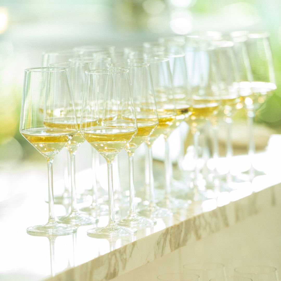 Host With Us | Museo Institute Exclusive Event Venues in Houston